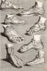 Обувь, срисованная с античных статуй.
