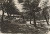 Стадо овечек под деревьями. Офорт Макса Либермана, 1891 год. 