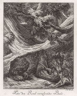 Медведь, пожирающий косулю. Гравюра Иоганна Элиаса Ридингера из Entwurff Einiger Thiere ..., Аугсбург, 1738. 