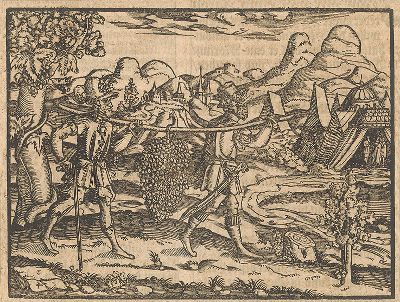 Притча о виноградарях. Иллюстрация к самому красивому изданию Библии, созданному в середине XVI века в Виттенберге (издатель Ганс Крафт). 