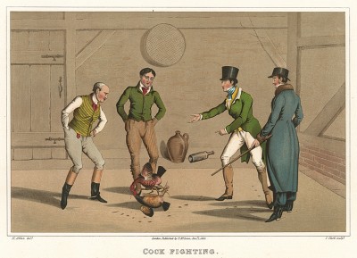 Петушиные бои в Великобритании начала XIX века, сцена 1. The National Sports of Great Britain by Henry Alken. Лондон, 1903