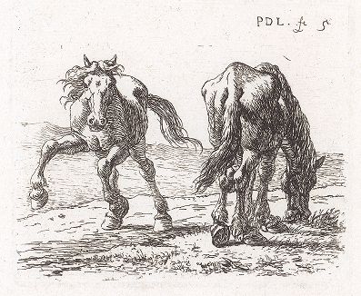 Кобыла и ее жеребенок на пастбище. Лист № 5 из сюиты Питера ван Лара, посвященной лошадям. 