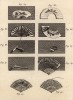 Мастерская по производству вееров. Сборка вееров (Ивердонская энциклопедия. Том IV. Швейцария, 1777 год)