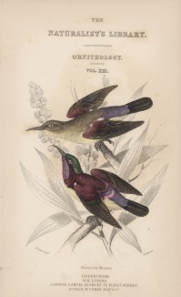 Титульный лист XVI тома "Библиотеки натуралиста" Вильяма Жардина, изданного в Эдинбурге в 1842 году и посвящённого Фрэнсису Виллоуби (на миниатюре изображены две нектарницы)