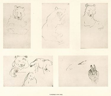 96. Медведи, волк, заяц. В.А. Серов "Рисунки к басням А.И. Крылова", Ленинград, 1951