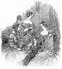 Юные парижанки, облачённые в вечерние платья, пошитые из белого крепа -- парижская мода, январь 1848 года (The Illustrated London News №299 от 22/01/1848 г.)