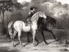 Любимые лошади: белая и вороная. Лист 14 из книги The Book of animals drawn from nature, выпущенной одним из лучших художников-анималистов середины XIX века Уильямом Барро и известным литографом Томасом Фэрлендом. Лондон, 1846