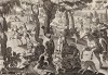 Так искусно обманом при помощи стрел ловят на полях, покрытых листьями обезьяну, подражательницу человеческого обличья (Venationes Ferarum, Avium, Piscium, лист 58)