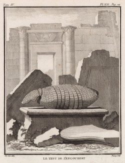 Броня, из которой извлекли броненосца (лист XXI иллюстраций к четвёртому тому знаменитой "Естественной истории" графа де Бюффона, изданному в Париже в 1753 году)