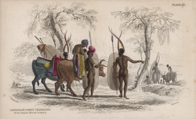 Семейство кафров, путешествующее на буйволах (South African cattle (англ.)) (лист 25 тома X "Библиотеки натуралиста" Вильяма Жардина, изданного в Эдинбурге в 1843 году)