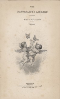Титульный лист тома XL "Библиотеки натуралиста" Вильяма Жардина, изданного в Эдинбурге в 1843 году и посвящённого Марии Сибилле Мериан (на миниатюре путти ловят бабочек)