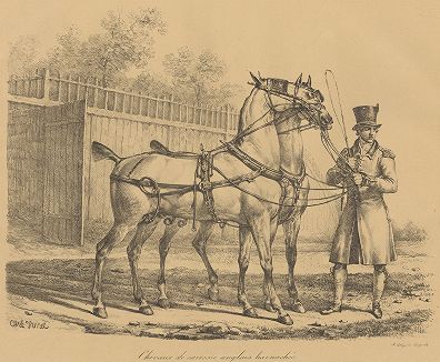 Лошади, запряженные для английского экипажа. Литография Карла Верне.