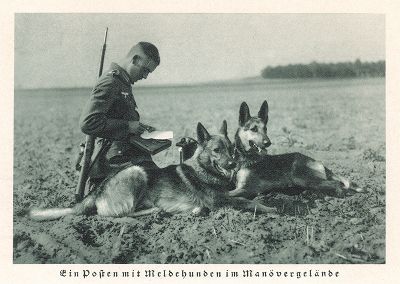 Солдат вермахта и немецкие овчарки на маневрах. Das Deutsche Heer im bunten und im grauen Rock. Берлин, 1935