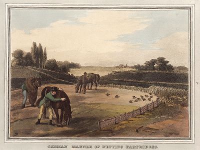 Способ ловли куропаток по-немецки. Лист из серии "Foreign Field Sports", Лондон, 1813.