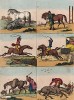 Жизнь и смерть скаковой лошади. Работа известного британского карикатуриста Томаса Роуландсона. 