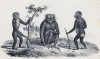 Макака, орангутанг и шимпанзе (лист 1 первого тома работы профессора Шинца Naturgeschichte und Abbildungen der Menschen und Säugethiere..., вышедшей в Цюрихе в 1840 году)
