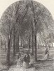 Перспектива Булл-стрит, Саванна, штат Джорджия. Лист из издания "Picturesque America", т.I, Нью-Йорк, 1872.