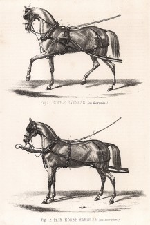 Одинарная упряжь и двойная упряжь. The Book of Field Sports and Library of Veterinary Knowledge. Лондон, 1864