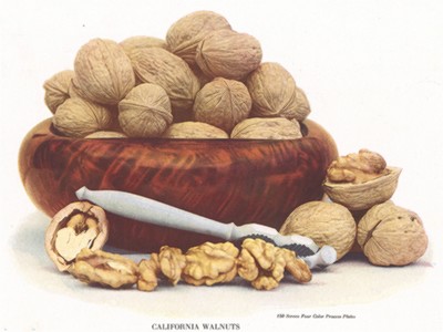 Калифорнийский грецкий орех. 