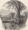 Вид на Белые горы с лугов Конвей Медоуз, штат Нью-Гемпшир. Лист из издания "Picturesque America", т.I, Нью-Йорк, 1872.