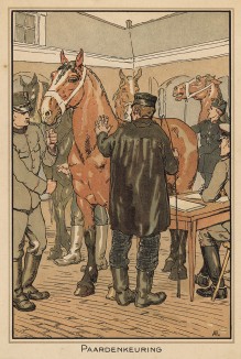 Мобилизация конского состава (Paardenkeuring (голл.). Из редкой брошюры, изданной военным ведомством нейтральной Голландии зимой 1915 года)