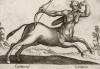 Кентавр (лист из альбома Nova raccolta de li animali piu curiosi del mondo disegnati et intagliati da Antonio Tempesta... Рим. 1651 год)
