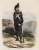 Солдат инженерных войск (сапёр) (из популярной работы Histoire de l'empereur Napoléon (фр.), изданной в Париже в 1840 году с иллюстрациями Ораса Верне и Ипполита Белланжа)