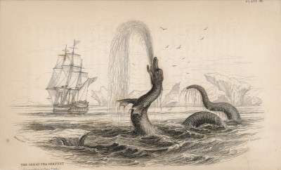 Змей Великого моря (Great Sea serpent (англ.)) (лист 28 тома VI "Библиотеки натуралиста" Вильяма Жардина, изданного в Эдинбурге в 1843 году)