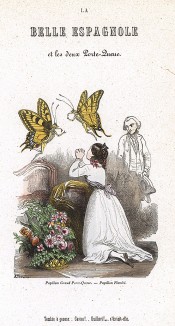 Прекрасная испанка и бабочки-махаоны. Les Papillons, métamorphoses terrestres des peuples de l'air par Amédée Varin. Париж, 1852
