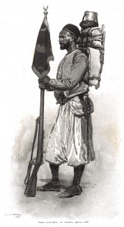Унтер-офицер (сержант) алжирских стрелков в полевой форме образца 1886 года (из Types et uniformes. L'armée françáise par Éduard Detaille. Париж. 1889 год)