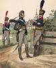 Униформа пехоты армии Великого герцогства Мекленбург-Шверин и Стерлиц в 1812 г. Uniformenkunde Рихарда Кнотеля, л.48. Ратенау (Германия), 1890