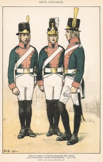 Шведские егеря в униформе образца 1793-1803 гг. Svenska arméns munderingar 1680-1905. Стокгольм, 1911