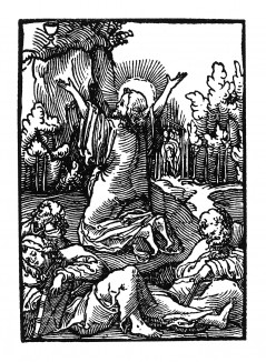 Христос возносит молитву на Масличной горе. Из Benedictus Chelidonius / Passio Effigiata. Монограммист N.H. Кёльн, 1526