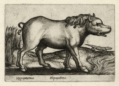 Hippopotamo (ит.), или странный бегемот (лист из альбома Nova raccolta de li animali piu curiosi del mondo disegnati et intagliati da Antonio Tempesta... Рим. 1651 год)